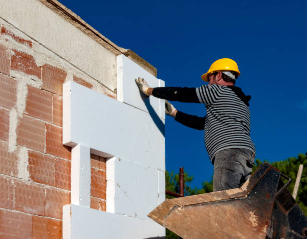 Best Residential Insulation in Minnetrista, MN