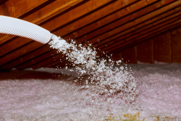 Best Insulation Installation Services in Minnetrista, MN